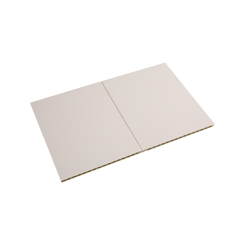 Praeparabilis Wood-Plastic Composita Wall Panel