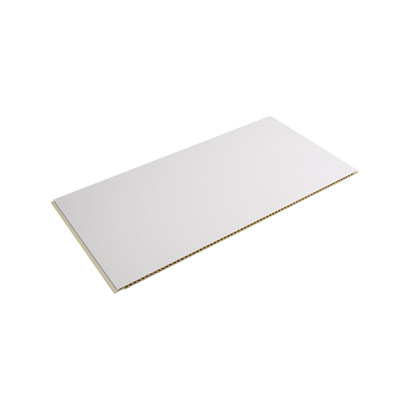 Insulating Energy-salvis Securus Esse Wpc Composita Wall Panel