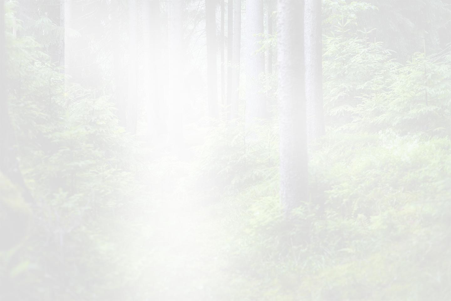 Zhejiang QianDuoMu Intelligent Ornamentum Co., Ltd.